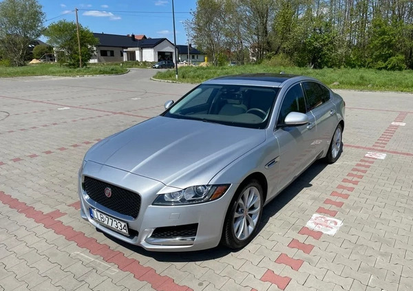 Jaguar XF cena 89000 przebieg: 93000, rok produkcji 2018 z Lubartów małe 781